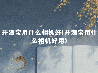 开淘宝用什么相机好(开淘宝用什么相机好用)