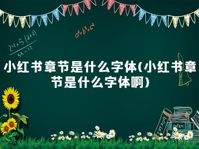 小红书章节是什么字体(小红书章节是什么字体啊)