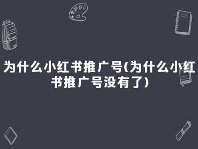 为什么小红书推广号(为什么小红书推广号没有了)