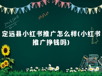 定远县小红书推广怎么样(小红书推广挣钱吗)