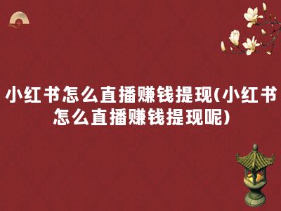 小红书怎么直播赚钱提现(小红书怎么直播赚钱提现呢)