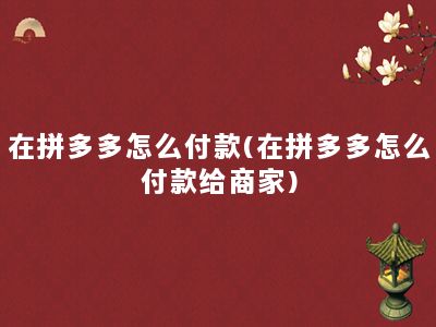 在拼多多怎么付款(在拼多多怎么付款给商家)