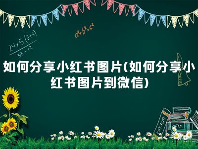 如何分享小红书图片(如何分享小红书图片到微信)