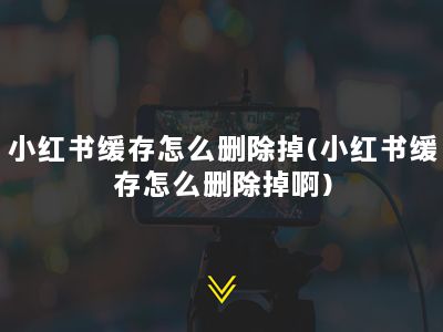 小红书缓存怎么删除掉(小红书缓存怎么删除掉啊)