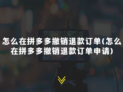 怎么在拼多多撤销退款订单(怎么在拼多多撤销退款订单申请)