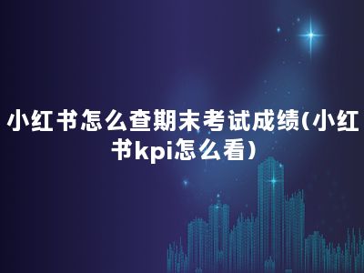 小红书怎么查期末考试成绩(小红书kpi怎么看)