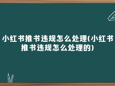 小红书推书违规怎么处理(小红书推书违规怎么处理的)