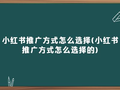 小红书推广方式怎么选择(小红书推广方式怎么选择的)