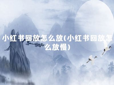 小红书回放怎么放(小红书回放怎么放慢)