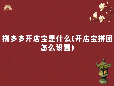 拼多多开店宝是什么(开店宝拼团怎么设置)