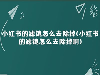 小红书的滤镜怎么去除掉(小红书的滤镜怎么去除掉啊)