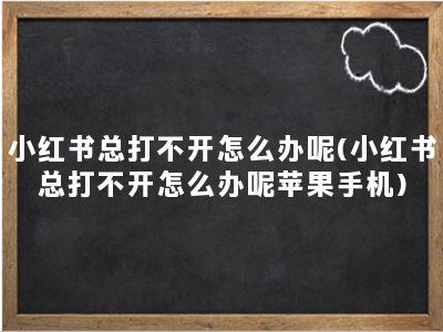 小红书总打不开怎么办呢(小红书总打不开怎么办呢苹果手机)