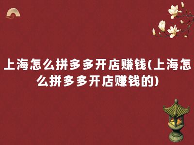 上海怎么拼多多开店赚钱(上海怎么拼多多开店赚钱的)