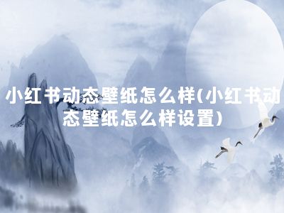 小红书动态壁纸怎么样(小红书动态壁纸怎么样设置)