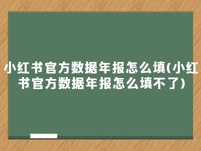 小红书官方数据年报怎么填(小红书官方数据年报怎么填不了)