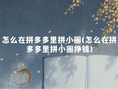 怎么在拼多多里拼小圈(怎么在拼多多里拼小圈挣钱)