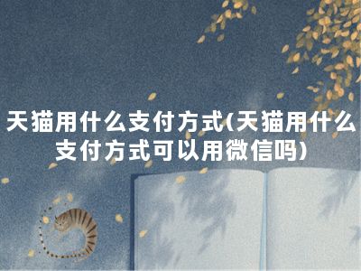 天猫用什么支付方式(天猫用什么支付方式可以用微信吗)