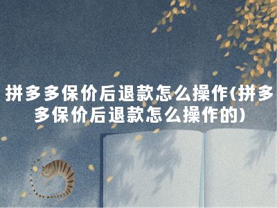 拼多多保价后退款怎么操作(拼多多保价后退款怎么操作的)