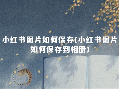 小红书图片如何保存(小红书图片如何保存到相册)