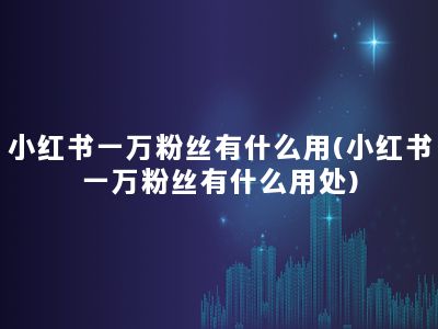 小红书一万粉丝有什么用(小红书一万粉丝有什么用处)