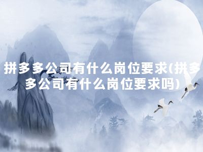 拼多多公司有什么岗位要求(拼多多公司有什么岗位要求吗)