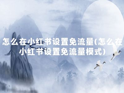 怎么在小红书设置免流量(怎么在小红书设置免流量模式)