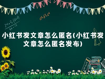 小红书发文章怎么匿名(小红书发文章怎么匿名发布)