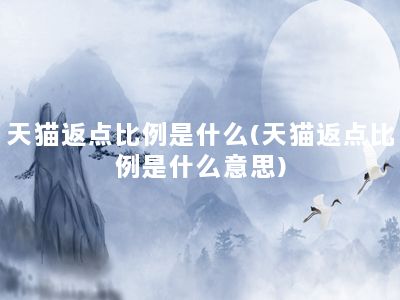 天猫返点比例是什么(天猫返点比例是什么意思)