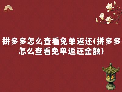 拼多多怎么查看免单返还(拼多多怎么查看免单返还金额)