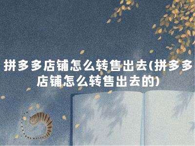 拼多多店铺怎么转售出去(拼多多店铺怎么转售出去的)