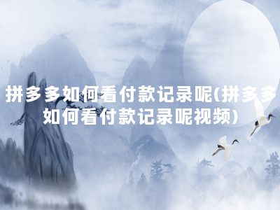 拼多多如何看付款记录呢(拼多多如何看付款记录呢视频)