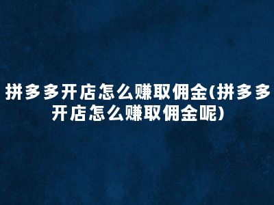 拼多多开店怎么赚取佣金(拼多多开店怎么赚取佣金呢)