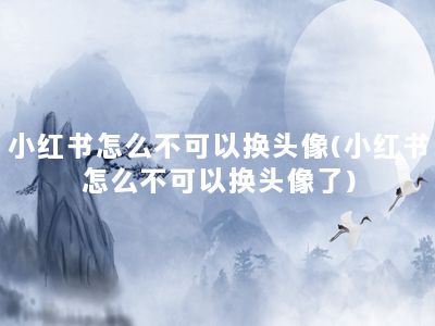 小红书怎么不可以换头像(小红书怎么不可以换头像了)