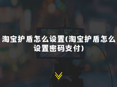 淘宝护盾怎么设置(淘宝护盾怎么设置密码支付)