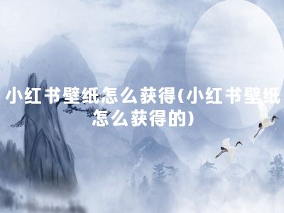 小红书壁纸怎么获得(小红书壁纸怎么获得的)