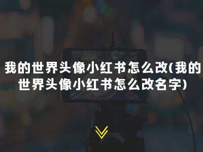 我的世界头像小红书怎么改(我的世界头像小红书怎么改名字)