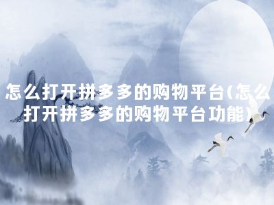 怎么打开拼多多的购物平台(怎么打开拼多多的购物平台功能)