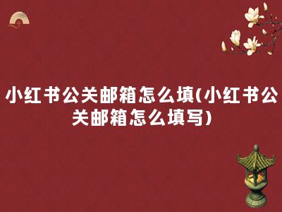 小红书公关邮箱怎么填(小红书公关邮箱怎么填写)