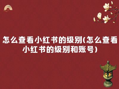 怎么查看小红书的级别(怎么查看小红书的级别和账号)