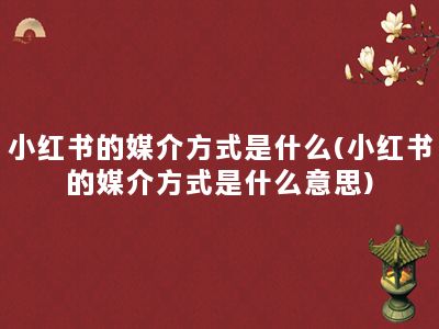 小红书的媒介方式是什么(小红书的媒介方式是什么意思)