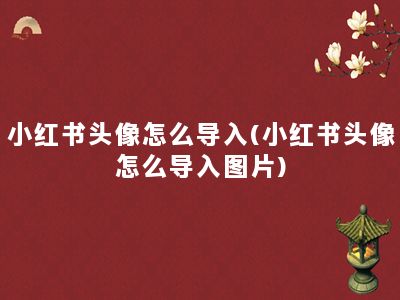 小红书头像怎么导入(小红书头像怎么导入图片)