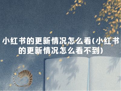 小红书的更新情况怎么看(小红书的更新情况怎么看不到)