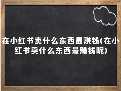 在小红书卖什么东西最赚钱(在小红书卖什么东西最赚钱呢)