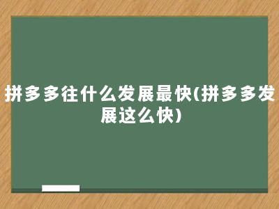 拼多多往什么发展最快(拼多多发展这么快)