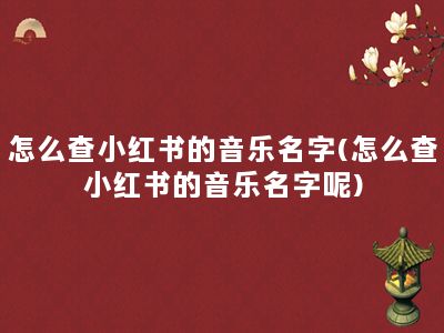 怎么查小红书的音乐名字(怎么查小红书的音乐名字呢)