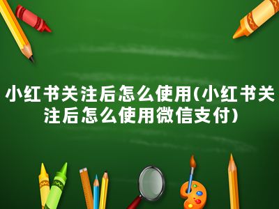 小红书关注后怎么使用(小红书关注后怎么使用微信支付)