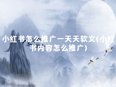 小红书怎么推广一天天软文(小红书内容怎么推广)