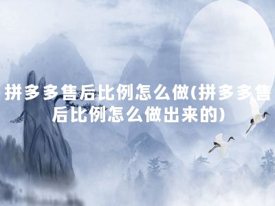 拼多多售后比例怎么做(拼多多售后比例怎么做出来的)