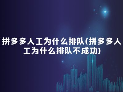 拼多多人工为什么排队(拼多多人工为什么排队不成功)