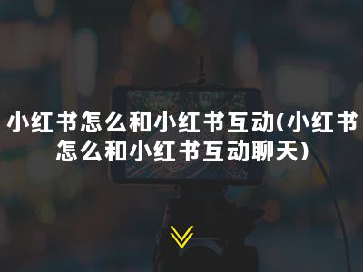 小红书怎么和小红书互动(小红书怎么和小红书互动聊天)